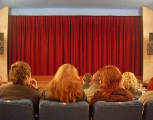 Starting Your Own Mini Picture House